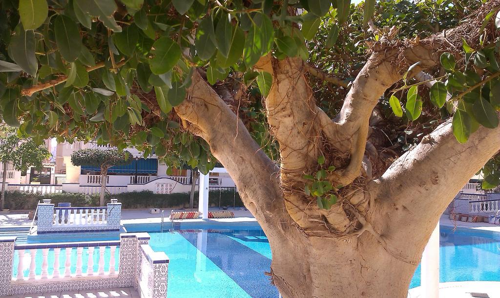 La Mata Vinamar Apartment Ngoại thất bức ảnh
